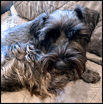 Wally Gordon5
