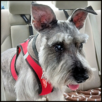 Winston1