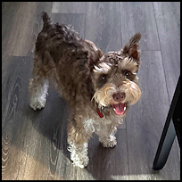 Eddie2