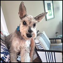 Roscoe11