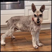 Roscoe8