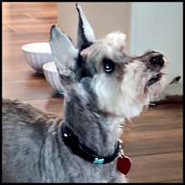 Roscoe9