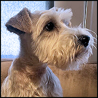 WInston1