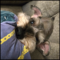 Zeke3
