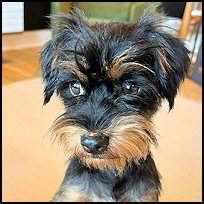 Benson3