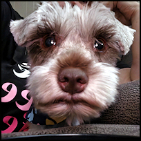 Coco1