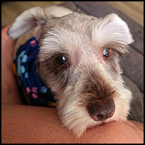 Coco2