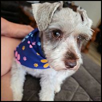 Coco4