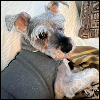 Cooper1