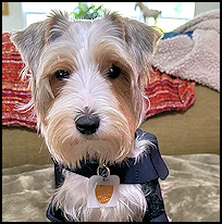 Griff1
