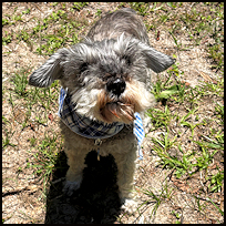 Toby3