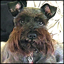 TobyFL1