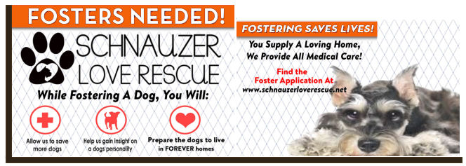 Fostering Logo