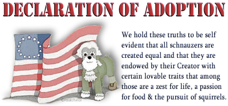 declaration of adoption