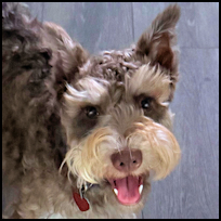 Eddie1