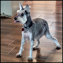 Roscoe4