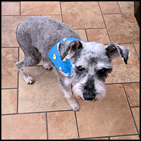 Roscoe2
