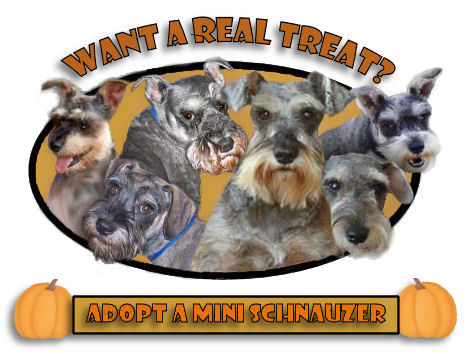 Treat CollageB