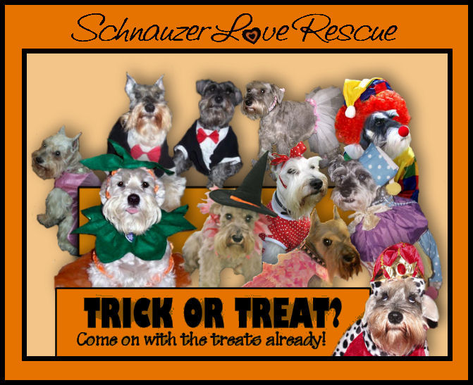 Trick or Treat Graphic for SLR2